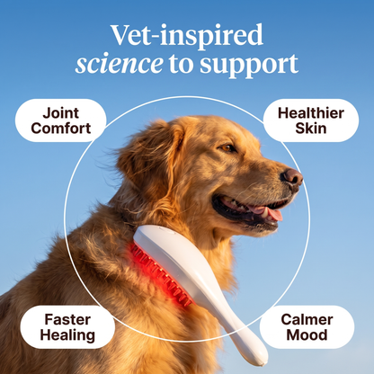 Red Light Therapy Pet Brush